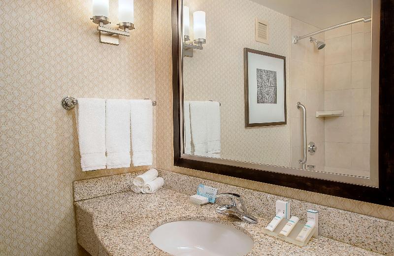 带大床的豪华间, Hilton Garden Inn St. Louis Airport