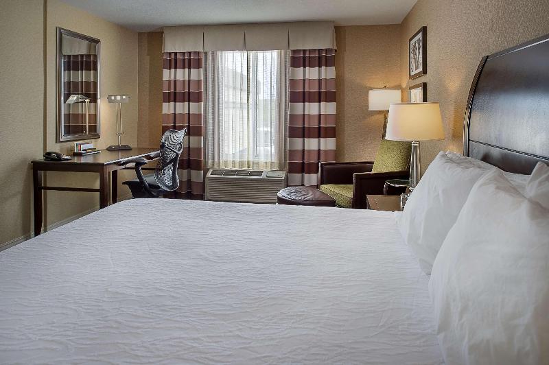 غرفة قياسية سرير كينج, Hilton Garden Inn St. Louis Airport
