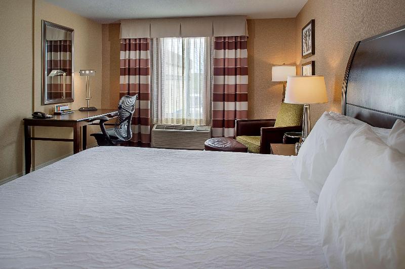 带大床的标准间, Hilton Garden Inn St. Louis Airport