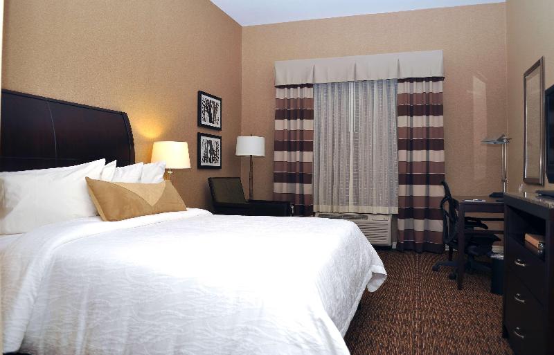 带大床的标准间, Hilton Garden Inn St. Louis Airport