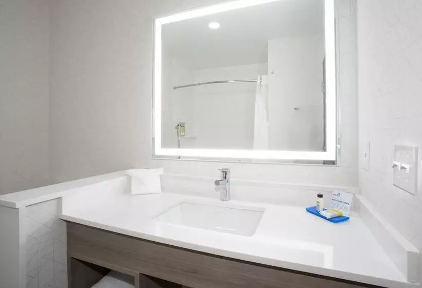 スタンダードルーム, Holiday Inn Express Hotel & Suites Idaho Falls, An Ihg