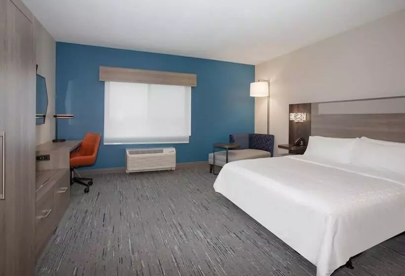 スタンダードルーム, Holiday Inn Express Hotel & Suites Idaho Falls, An Ihg