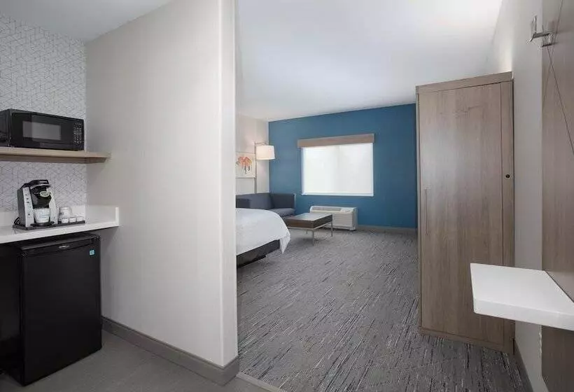スイート, Holiday Inn Express Hotel & Suites Idaho Falls, An Ihg