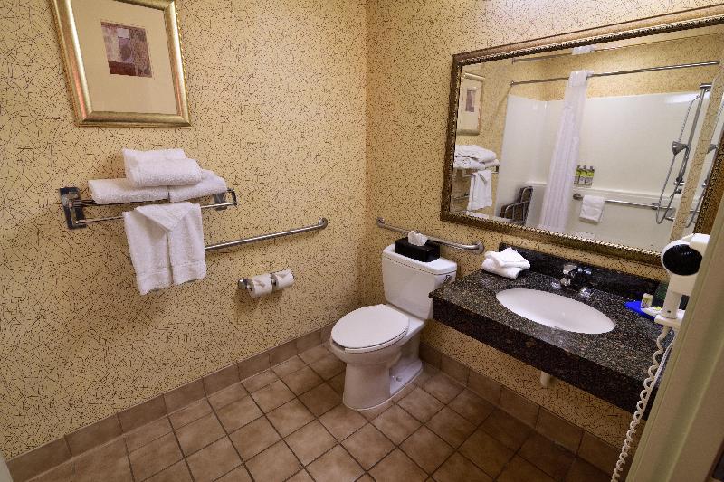 חדר סטנדרט עם מיטת קינג, Holiday Inn Express Hotel & Suites Idaho Falls, An Ihg