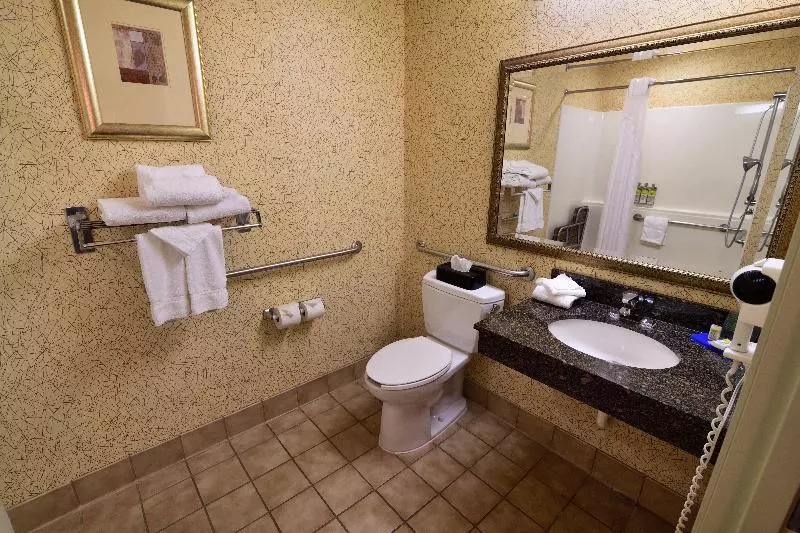 キングサイズベッドのスタンダードルーム, Holiday Inn Express Hotel & Suites Idaho Falls, An Ihg