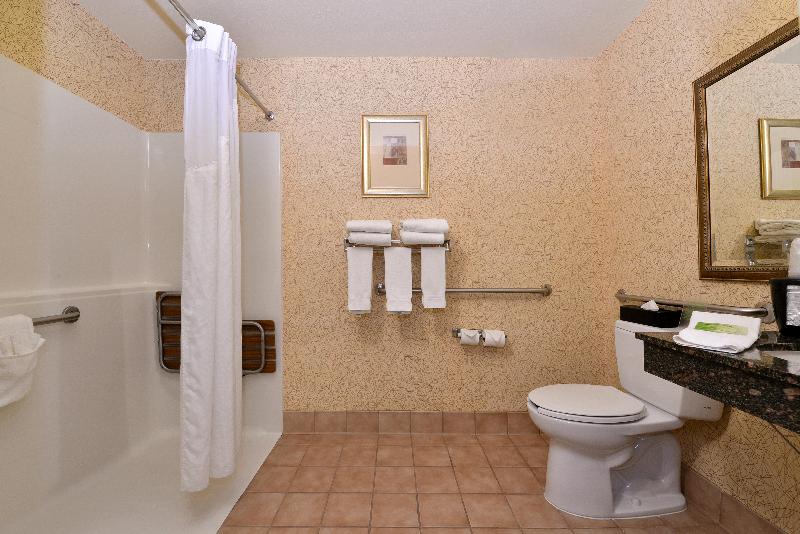 חדר סטנדרט עם מיטת קינג, Holiday Inn Express Hotel & Suites Idaho Falls, An Ihg