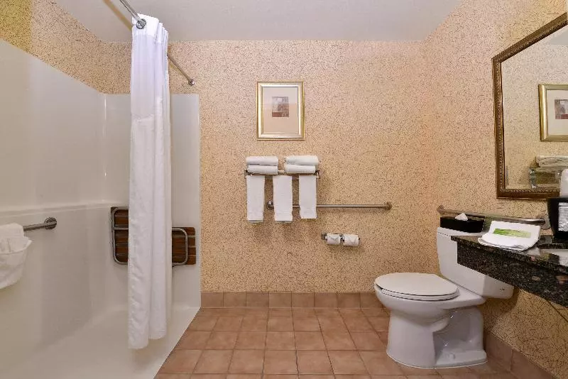 キングサイズベッドのスタンダードルーム, Holiday Inn Express Hotel & Suites Idaho Falls, An Ihg