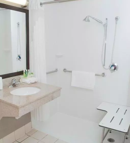 身障者適用スイートルーム, Holiday Inn Express Hotel & Suites Pittsburgh South Side, An Ihg