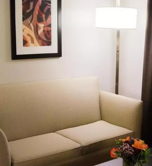 身障者適用スイートルーム, Holiday Inn Express Hotel & Suites Pittsburgh South Side, An Ihg