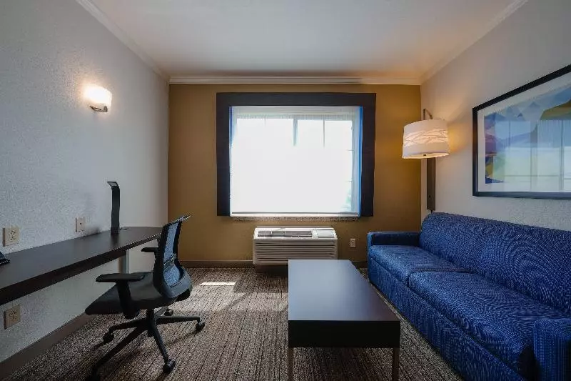 سوئیت با تخت بزرگ, Holiday Inn Express & Suites Santa Clara   Silicon Valley, An Ihg
