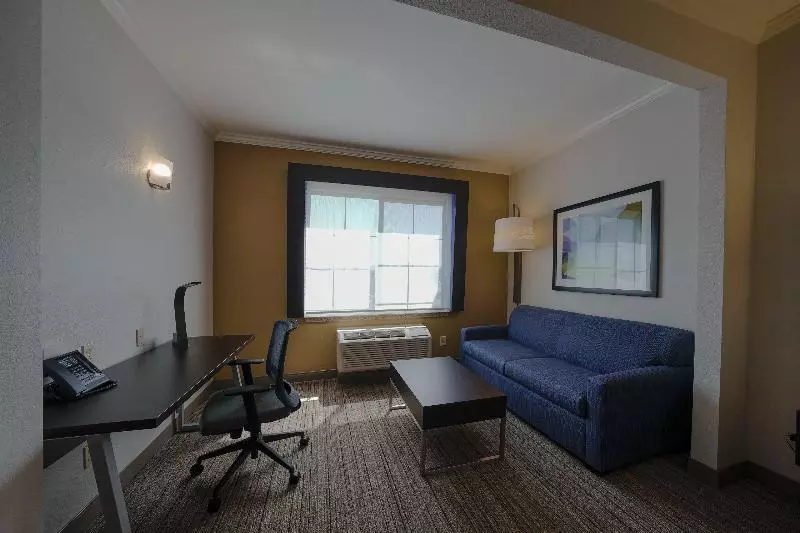 سوییت, Holiday Inn Express & Suites Santa Clara   Silicon Valley, An Ihg