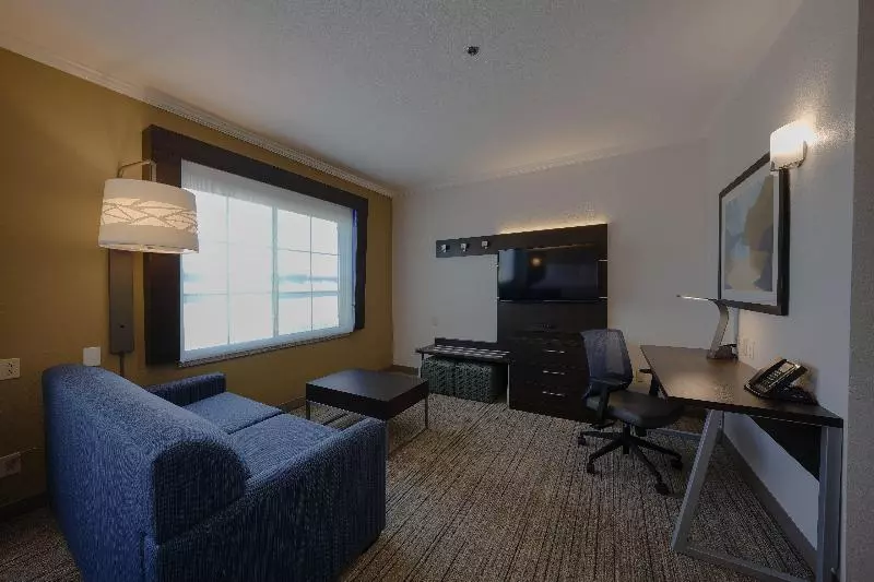 سوییت, Holiday Inn Express & Suites Santa Clara   Silicon Valley, An Ihg