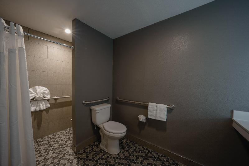 适合残疾人士使用的套间, Holiday Inn Express & Suites Santa Clara   Silicon Valley, An Ihg