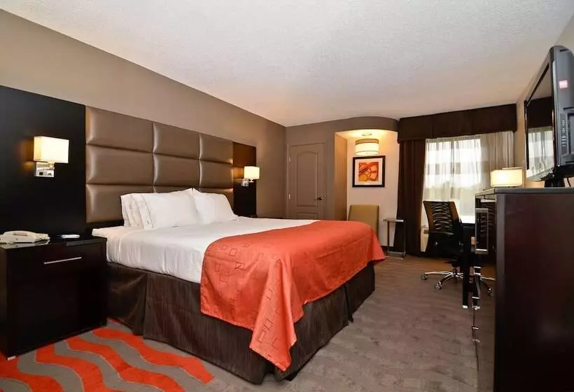 スタンダードルーム, Holiday Inn Express Burlington, An Ihg