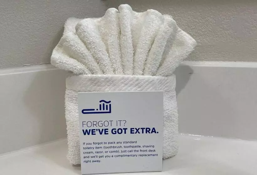 キングサイズベッドのスタンダードルーム, Holiday Inn Express Burlington, An Ihg