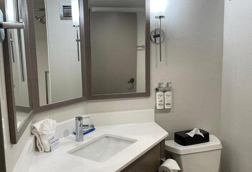 Стандартный Номер Кровать Кинг, Holiday Inn Express Burlington, An Ihg