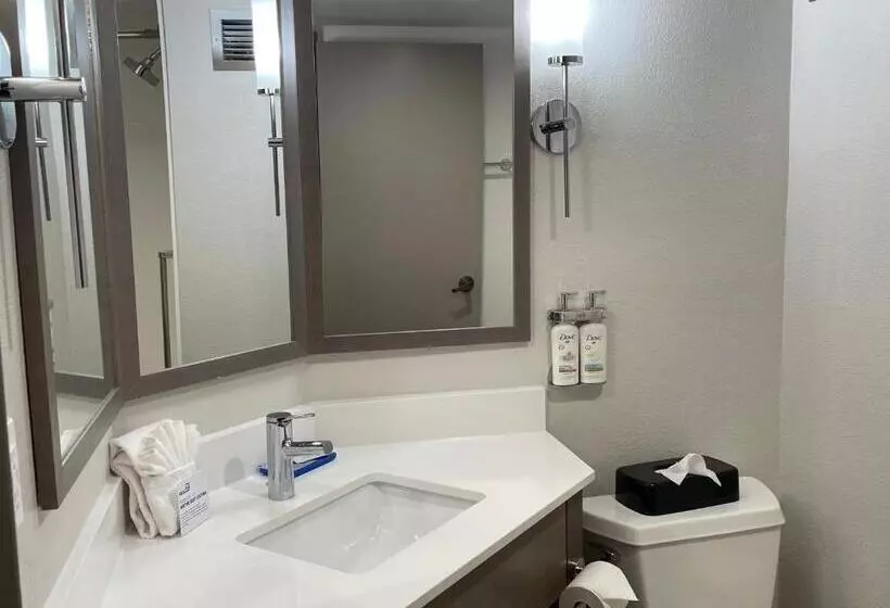 キングサイズベッドのスタンダードルーム, Holiday Inn Express Burlington, An Ihg