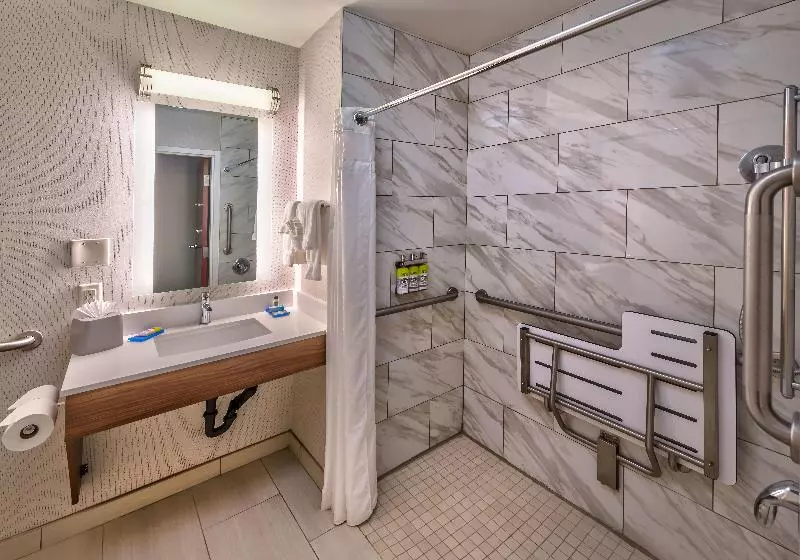身障者適用キングサイズベッドルーム, Holiday Inn Express Reno Airport, An Ihg