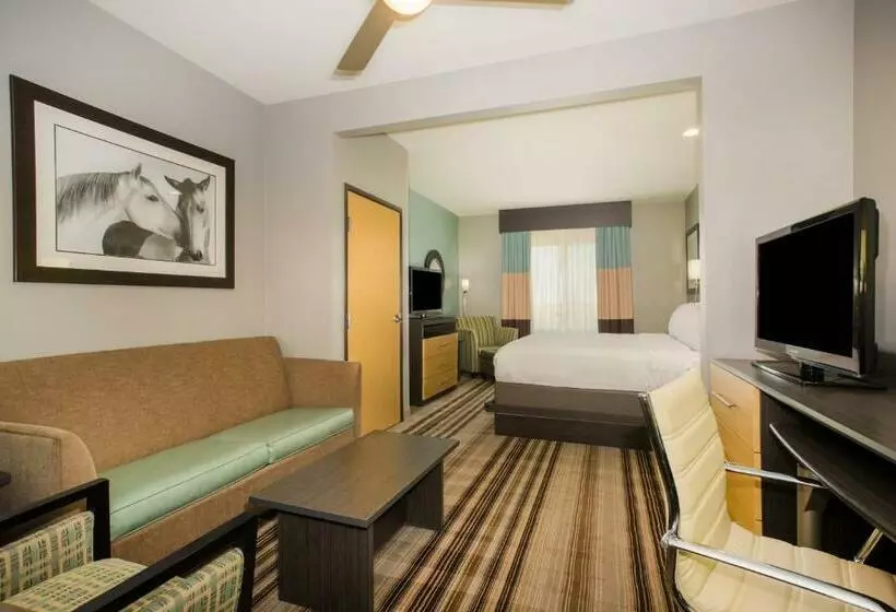 キングサイズベッドのスイートルーム, Holiday Inn Express & Suites Amarillo West, An Ihg
