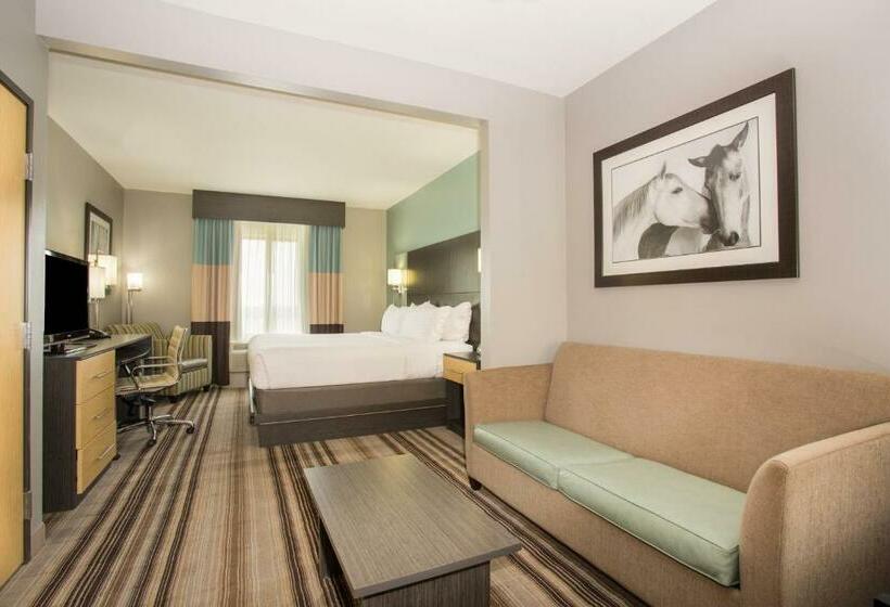 Suite met Kingsize Bed, Holiday Inn Express & Suites Amarillo West, An Ihg