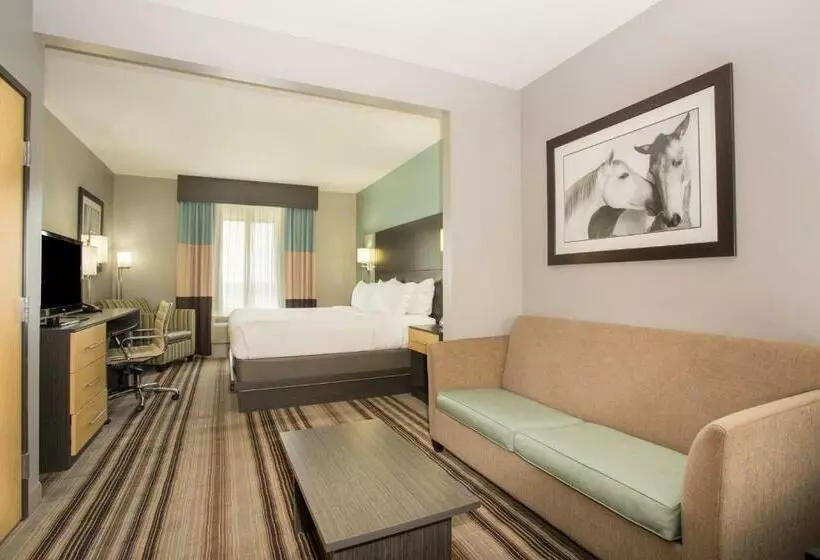 キングサイズベッドのスイートルーム, Holiday Inn Express & Suites Amarillo West, An Ihg
