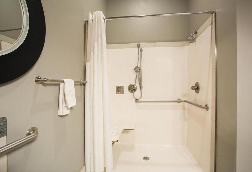 장애인을 위한 킹사이즈 침대 스탠다드 룸, Holiday Inn Express & Suites Amarillo West, An Ihg