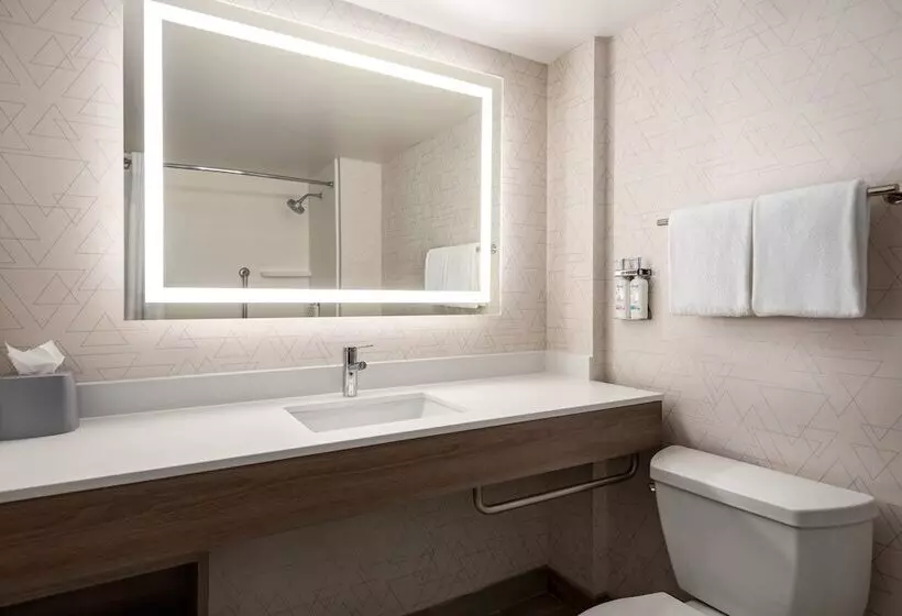 スタンダードルーム, Holiday Inn Express & Suites Mobile West I 10, An Ihg