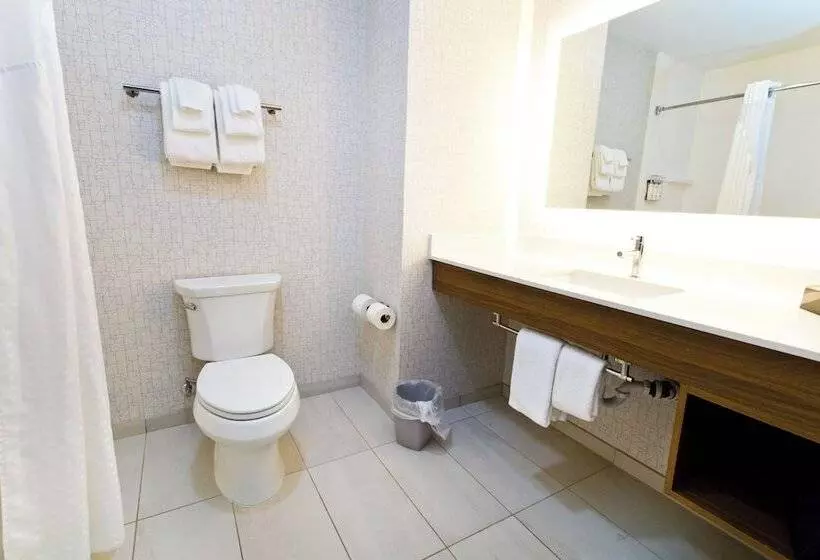 اتاق استاندارد, Holiday Inn Express & Suites Sacramento Ne Cal Expo, An Ihg
