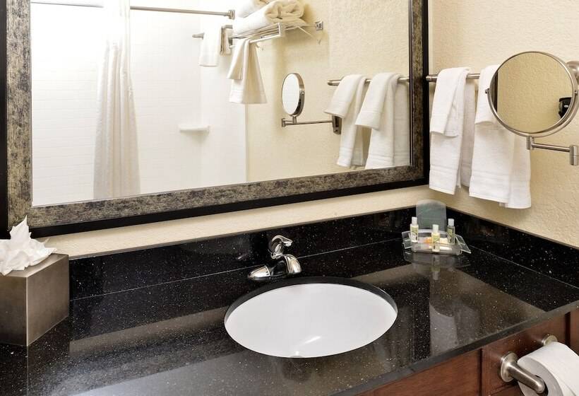 标准间, Holiday Inn Montgomery South Airport, An Ihg