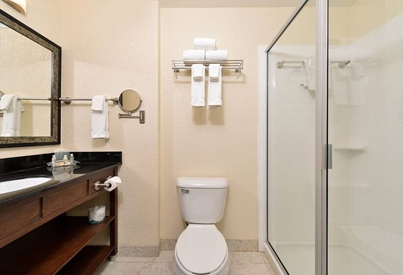 스탠다드 룸, Holiday Inn Montgomery South Airport, An Ihg