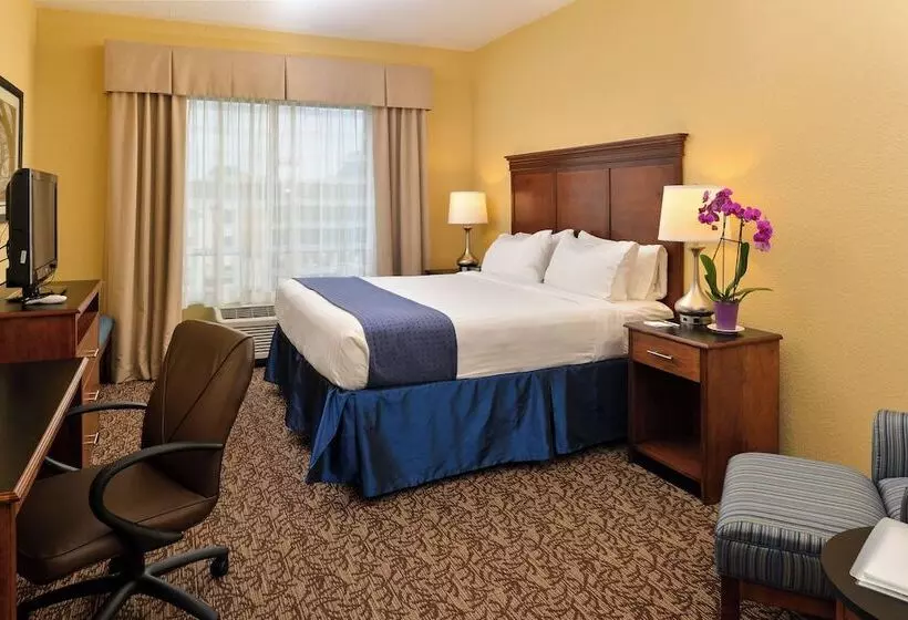 スタンダードルーム, Holiday Inn Montgomery South Airport, An Ihg