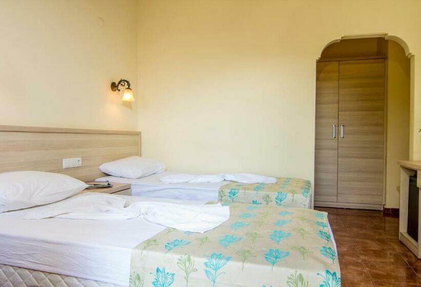 חדר סטנדרט, Magic Tulip