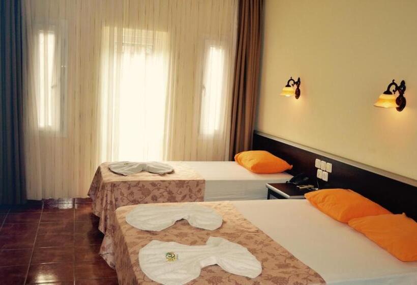 חדר סטנדרט לשלושה, Magic Tulip