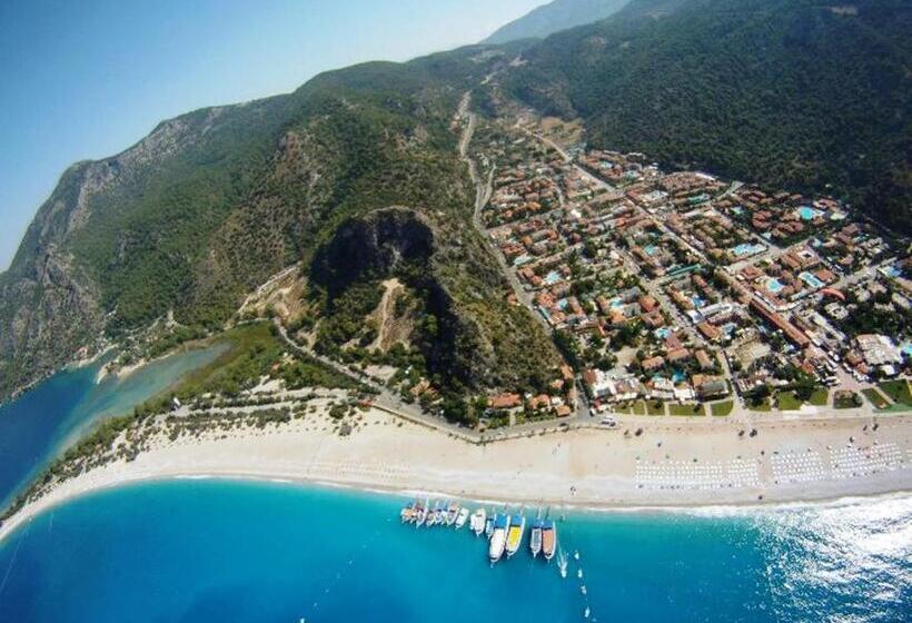 חדר סטנדרט לשלושה, Magic Tulip