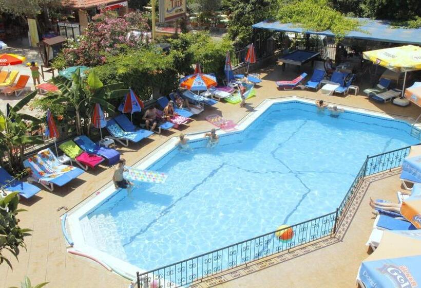 חדר סטנדרט לשלושה, Magic Tulip