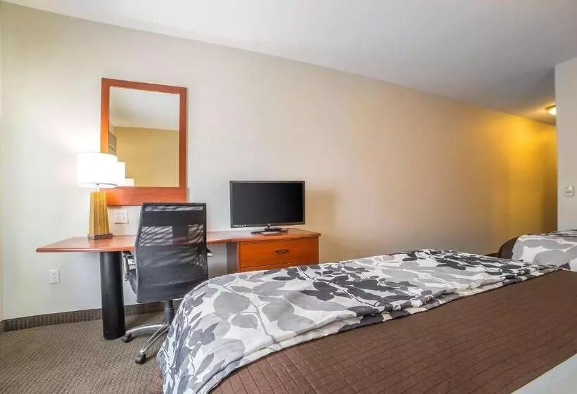 ２ダブルベッドのスタンダードルーム, Sleep Inn & Suites