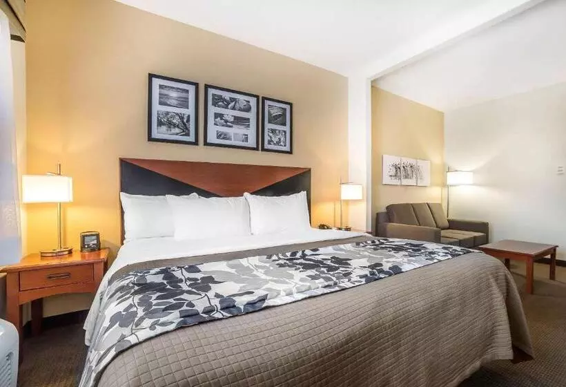 キングサイズベッドのスイートルーム, Sleep Inn & Suites