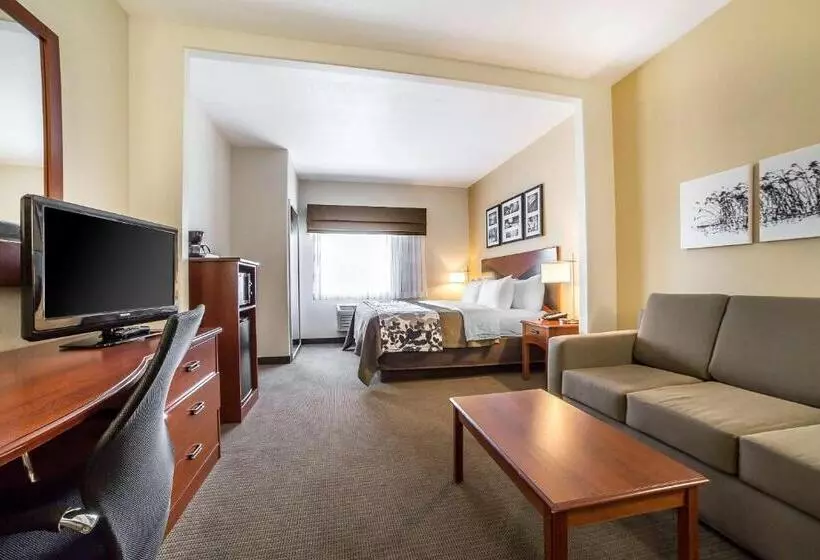 キングサイズベッドのスイートルーム, Sleep Inn & Suites