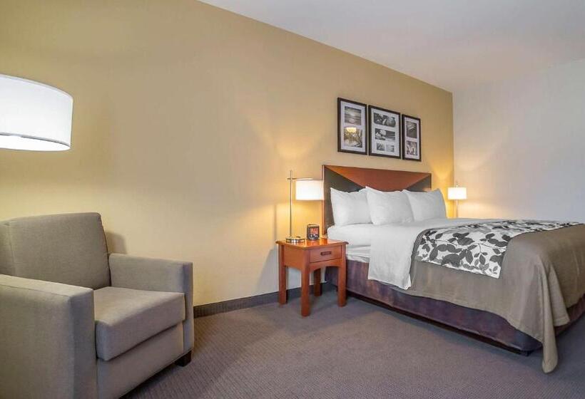 חדר סטנדרט עם מיטת קינג, Sleep Inn & Suites