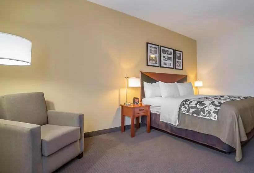キングサイズベッドのスタンダードルーム, Sleep Inn & Suites