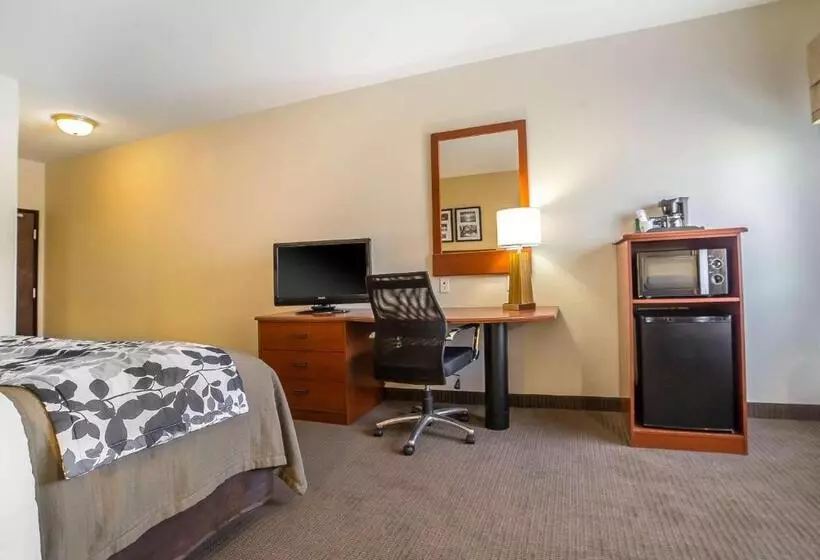 キングサイズベッドのスタンダードルーム, Sleep Inn & Suites