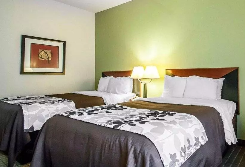 ２ダブルベッドのスタンダードルーム, Sleep Inn & Suites