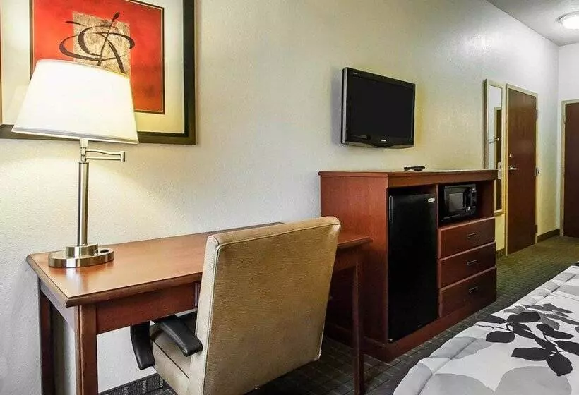 ２ダブルベッドのスタンダードルーム, Sleep Inn & Suites