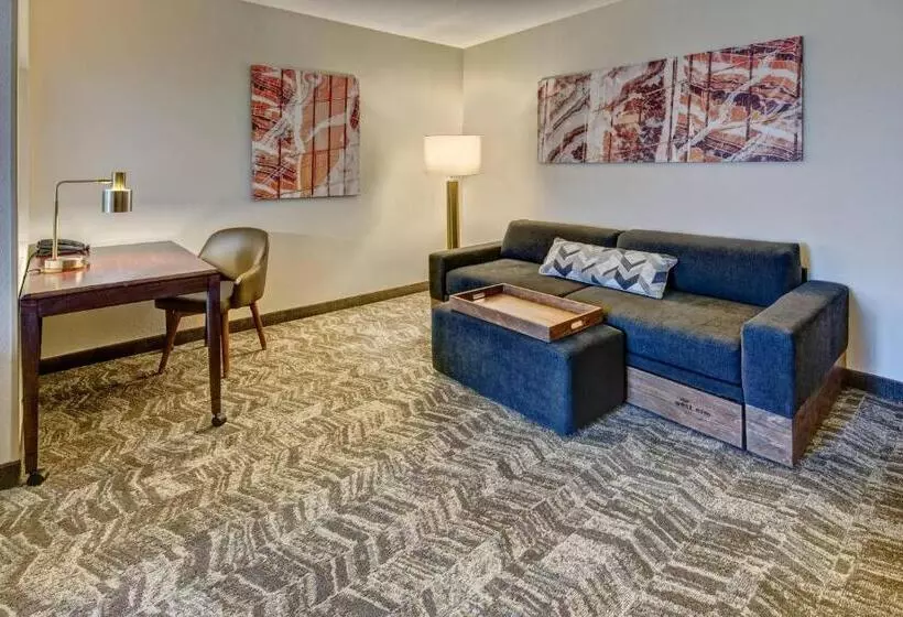 スタンダードスタジオ, Springhill Suites By Marriott New Bern