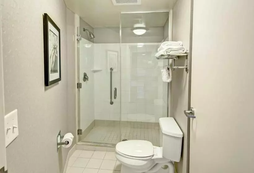 キングサイドベッドのスタンダードワンルーム, Springhill Suites By Marriott New Bern