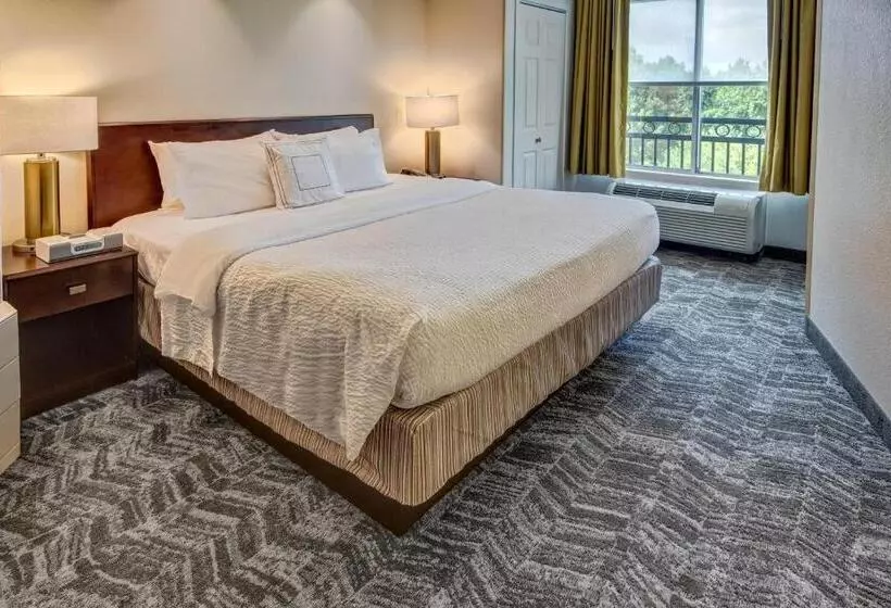 キングサイドベッドのスタンダードワンルーム, Springhill Suites By Marriott New Bern