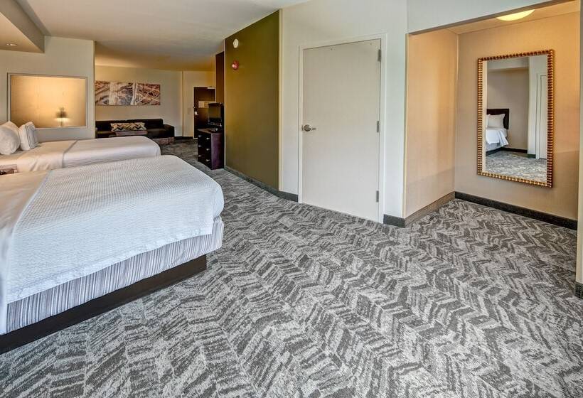 标准工作室, Springhill Suites By Marriott New Bern