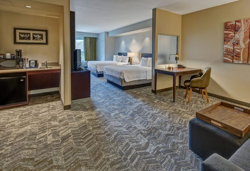 Студия Стандарт, Springhill Suites By Marriott New Bern