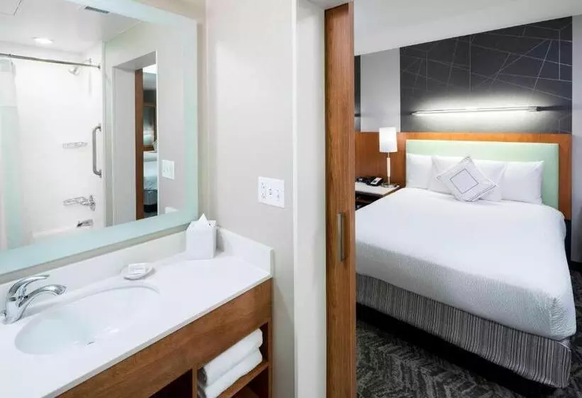 スタンダードスタジオ, Springhill Suites By Marriott Salt Lake City Airport