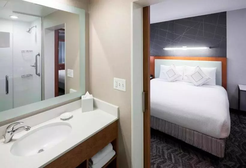 キングサイドベッドのスタンダードワンルーム, Springhill Suites By Marriott Salt Lake City Airport